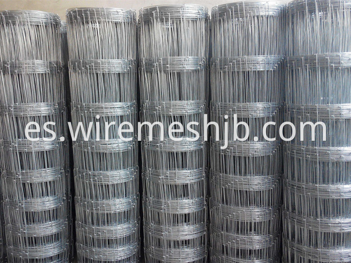 Galvanized Woven Wire Fence